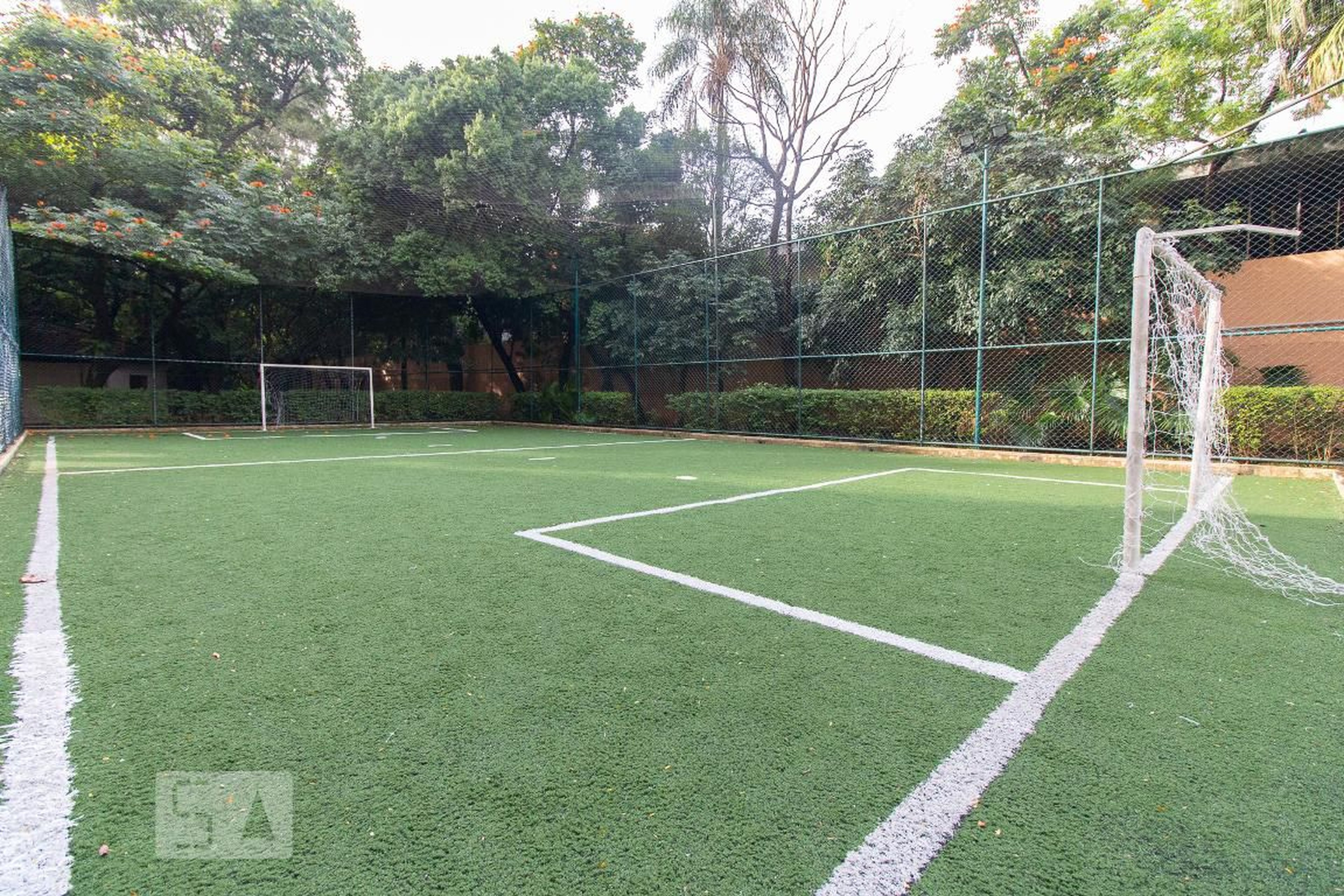 Campo de futebol - CLUB TUIUTI