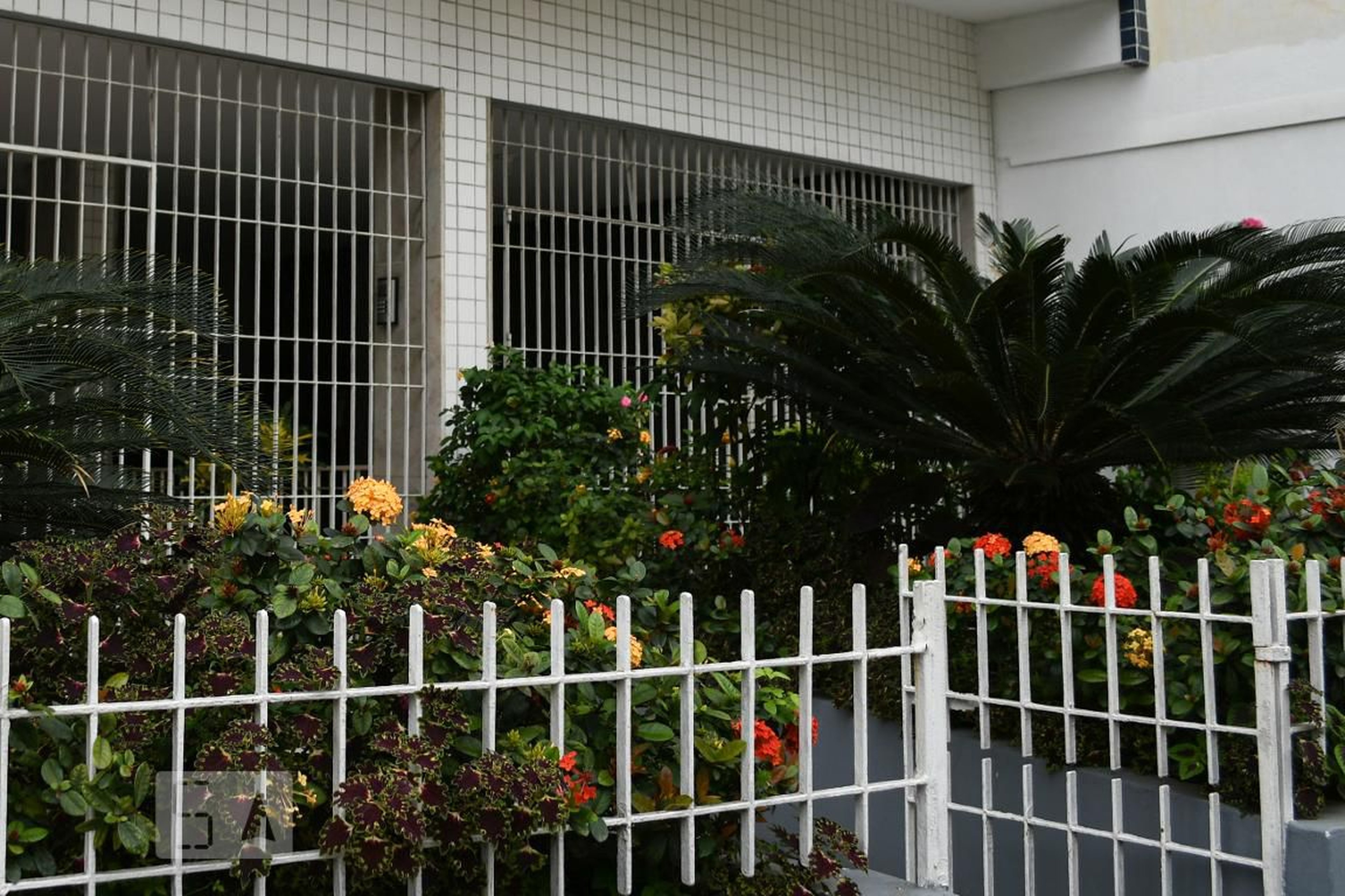 ENTRADA - Edifício Magalhães