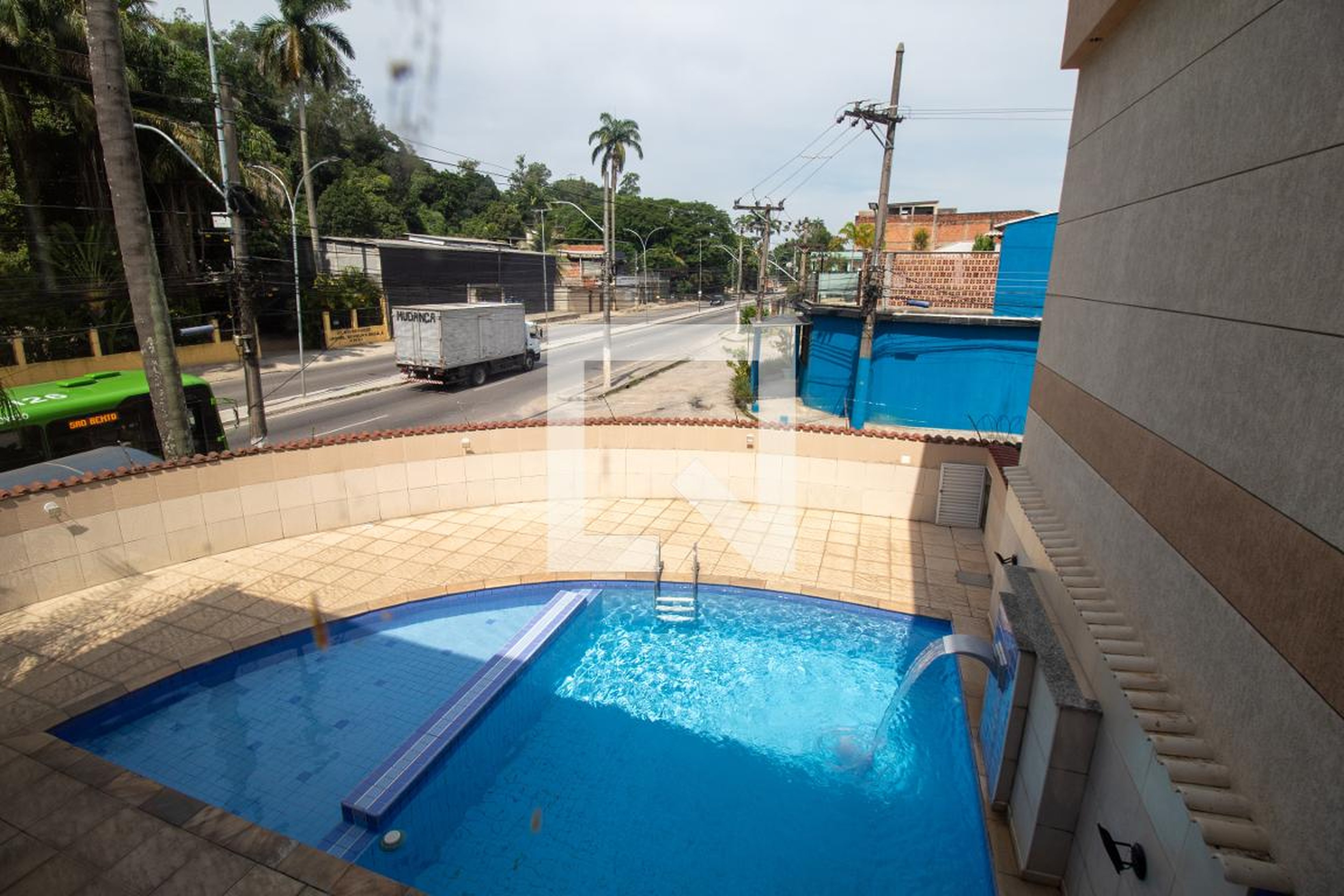 Piscina - Palmeiras