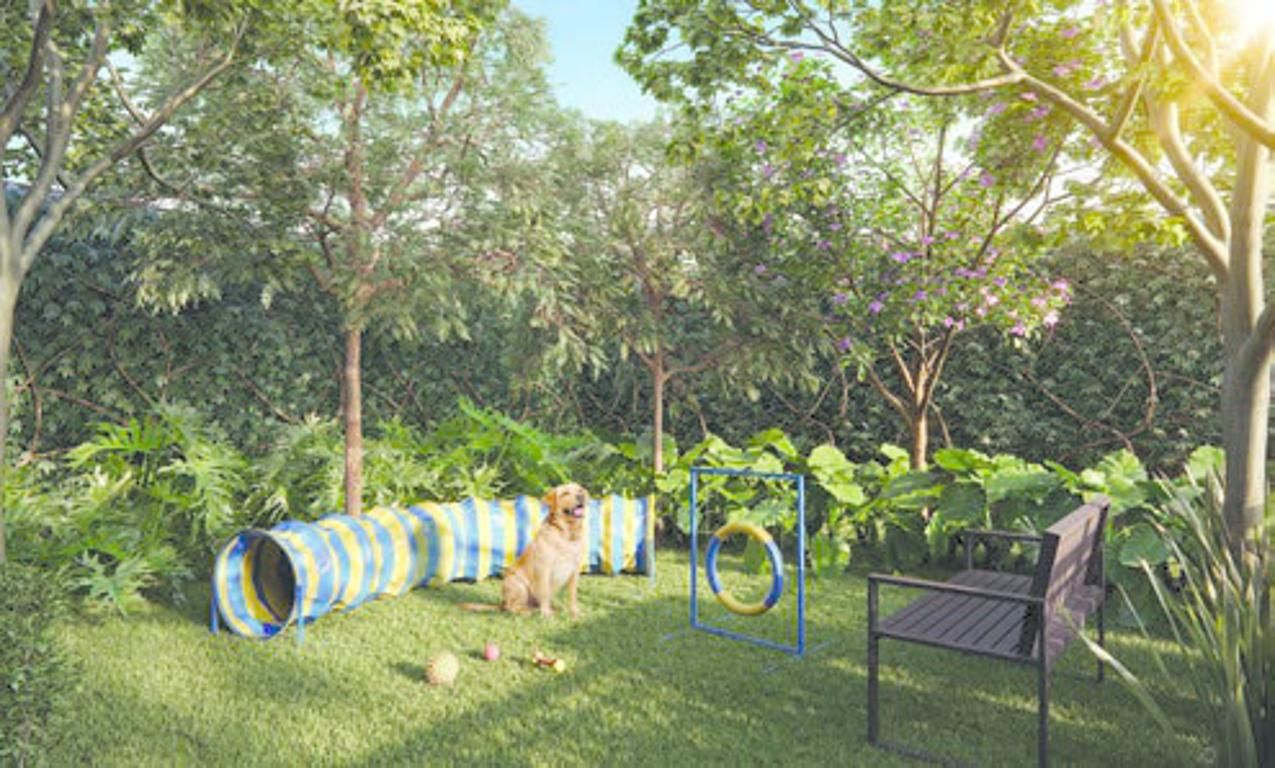 Pet place