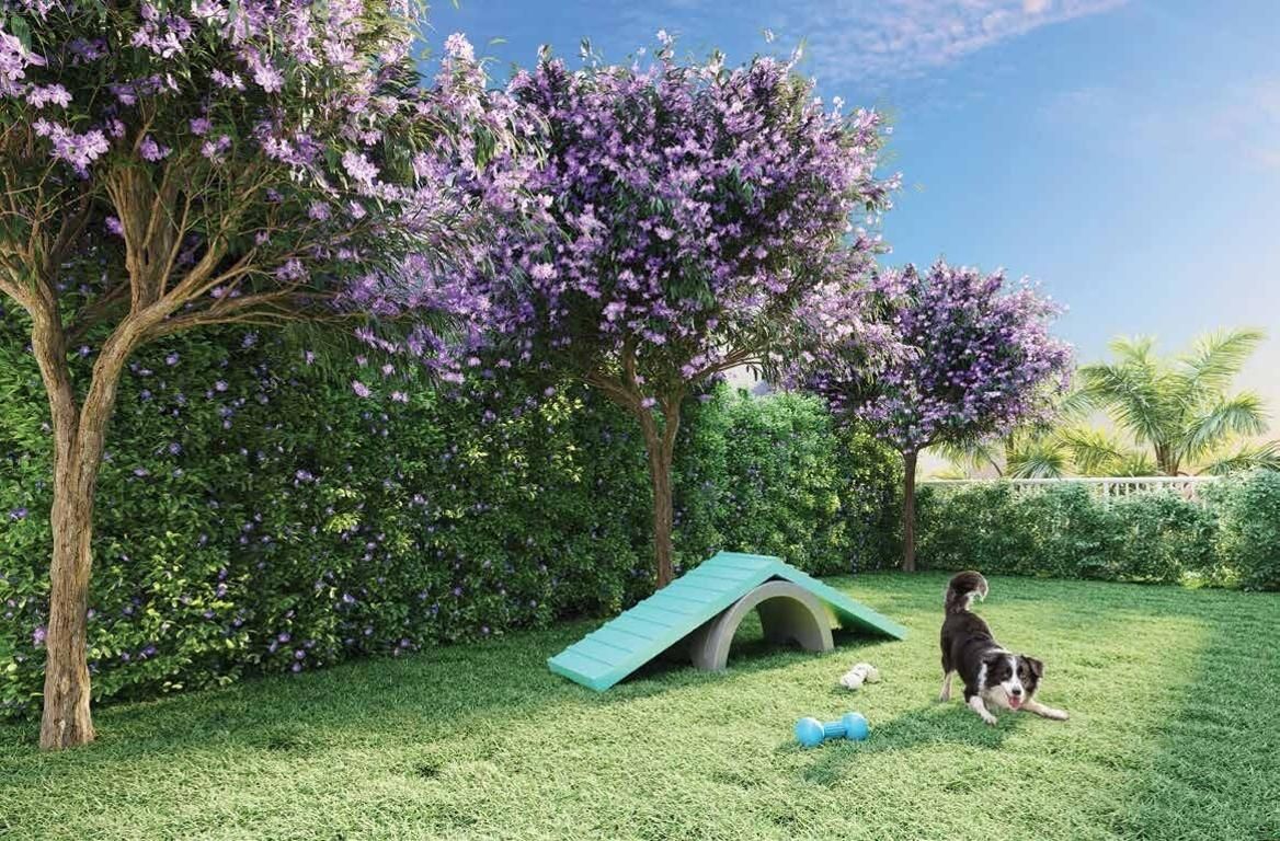 Pet place