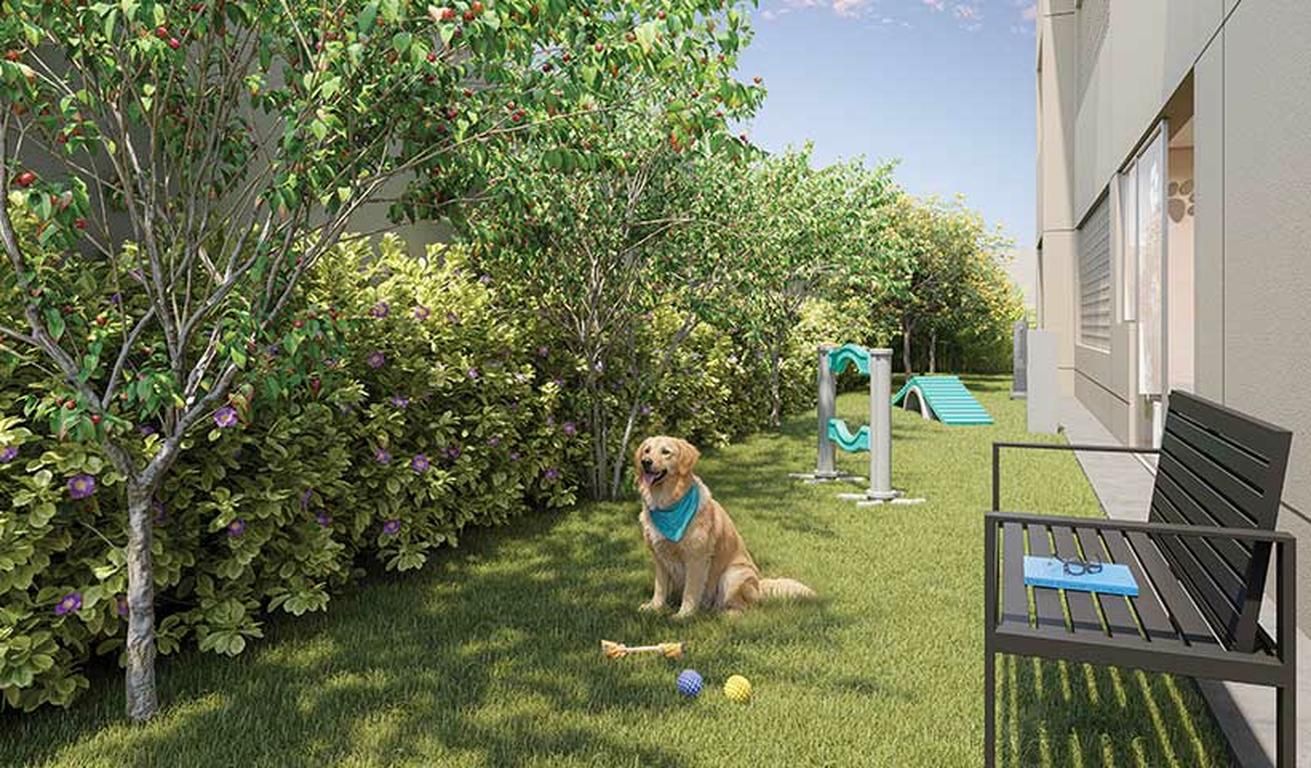 Pet place