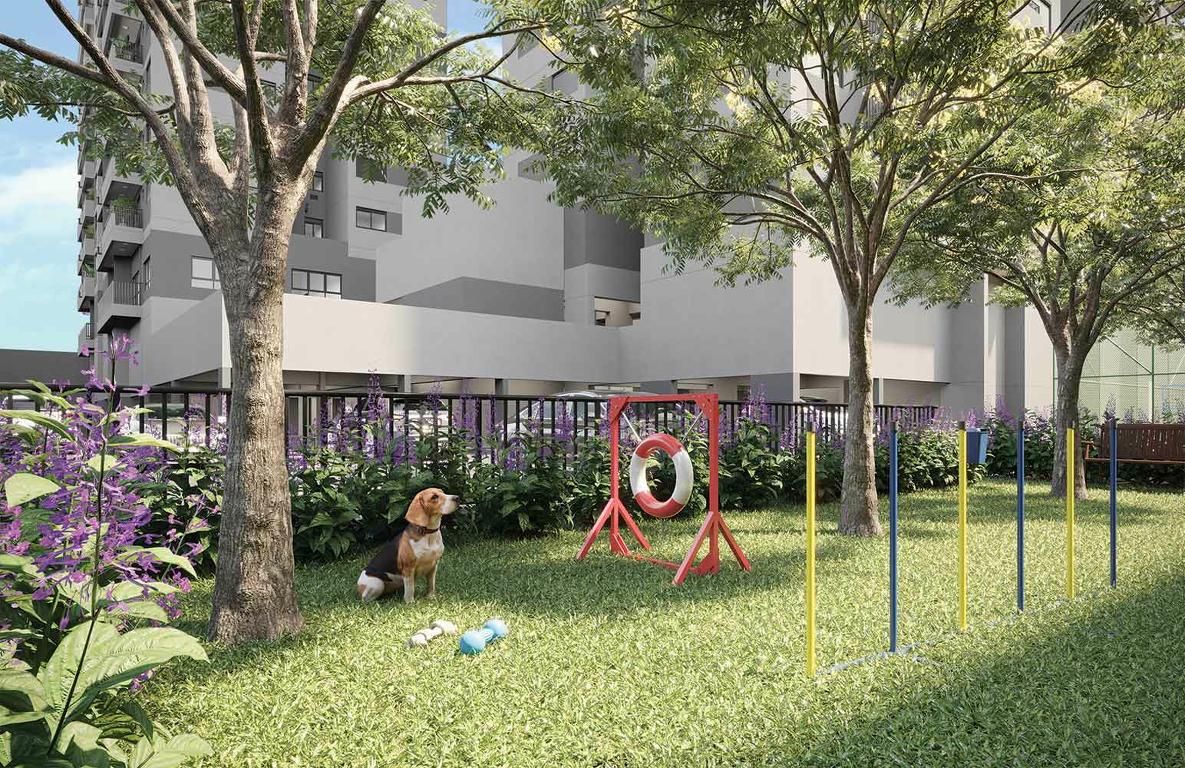 Pet place