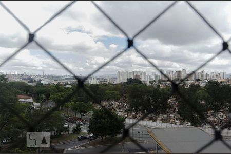 vista sala de apartamento para alugar com 3 quartos, 95m² em Alto de Pinheiros, São Paulo