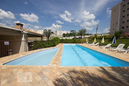 Dependências do prédio - piscina de apartamento à venda com 3 quartos, 60m² em Jardim Nova Europa, Campinas