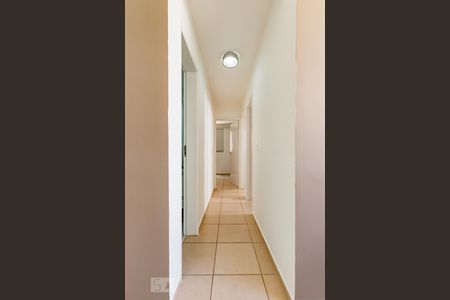 Corredor de apartamento à venda com 3 quartos, 60m² em Jardim Nova Europa, Campinas