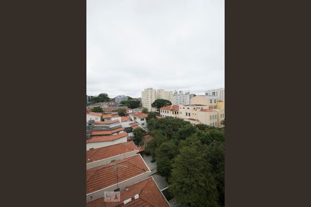 Vista de apartamento para alugar com 1 quarto, 48m² em Vila Parque Jabaquara, São Paulo