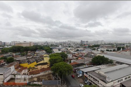 Vista do Quarto 1 de apartamento para alugar com 2 quartos, 55m² em Limão, São Paulo