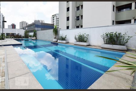 Área comum - Piscina de apartamento para alugar com 1 quarto, 50m² em Jardim Santo Amaro, São Paulo