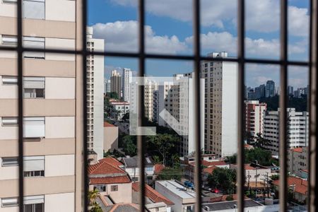 Vista da Sala de apartamento para alugar com 3 quartos, 80m² em Cambuci, São Paulo