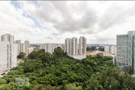 Vista de apartamento para alugar com 3 quartos, 107m² em Vila Andrade, São Paulo