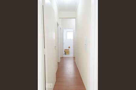 Corredor de apartamento para alugar com 4 quartos, 96m² em Cambuí, Campinas