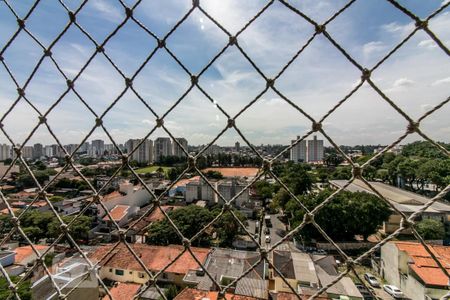 Vista de apartamento à venda com 2 quartos, 62m² em Nova Petrópolis, São Bernardo do Campo