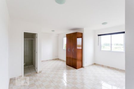 Sala e quarto de apartamento para alugar com 1 quarto, 35m² em Quinta da Paineira, São Paulo