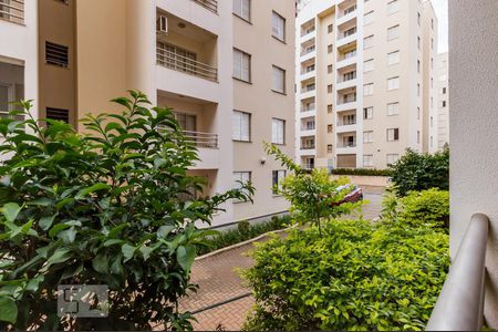 Vista de apartamento à venda com 3 quartos, 80m² em Chácara Primavera, Campinas