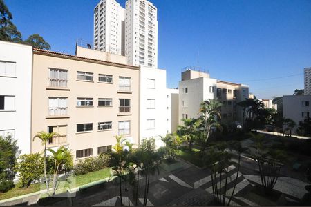 vista de apartamento para alugar com 2 quartos, 58m² em Vila Andrade, São Paulo