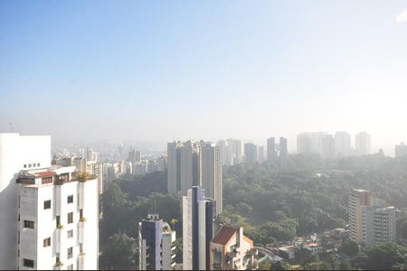 vista de apartamento à venda com 4 quartos, 480m² em Morumbi, São Paulo