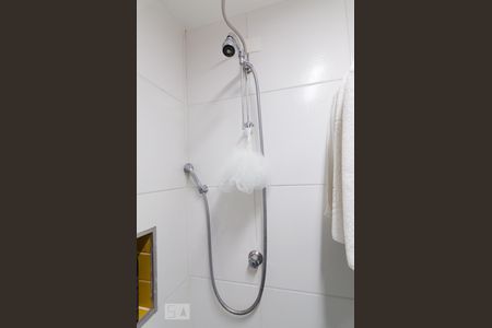 Banheiro de apartamento para alugar com 2 quartos, 55m² em Jardim Miranda, Campinas