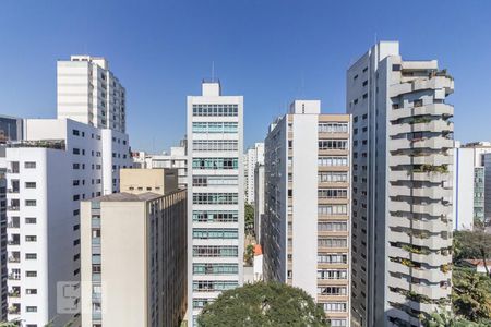 Vista de apartamento para alugar com 3 quartos, 255m² em Higienópolis, São Paulo