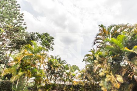 Vista da Sala de casa de condomínio para alugar com 4 quartos, 400m² em Alphaville Residencial Plus, Barueri