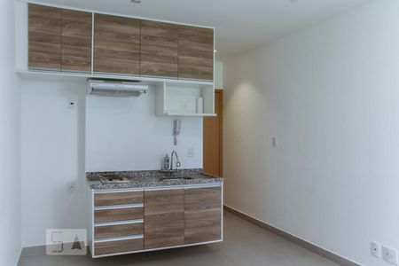 Cozinha - Armários de apartamento para alugar com 1 quarto, 20m² em República, São Paulo