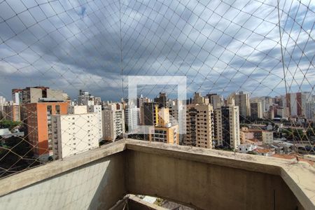 Varanda da Sala de apartamento à venda com 5 quartos, 452m² em Cambuí, Campinas