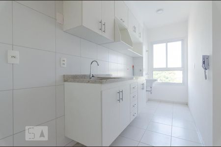 Cozinha de apartamento para alugar com 1 quarto, 50m² em Vila Lídia, Campinas