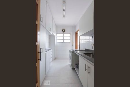 Cozinha de apartamento para alugar com 2 quartos, 89m² em Perdizes, São Paulo