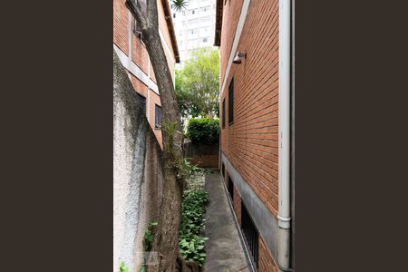 1o. Andar - Jardim de casa para alugar com 4 quartos, 190m² em Vila Mariana, São Paulo