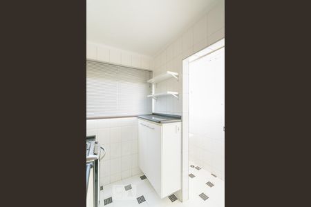 Cozinha de apartamento para alugar com 2 quartos, 60m² em Vila Santa Teresa, Santo André