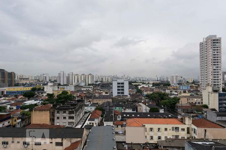 Vista de apartamento para alugar com 2 quartos, 50m² em Cambuci, São Paulo