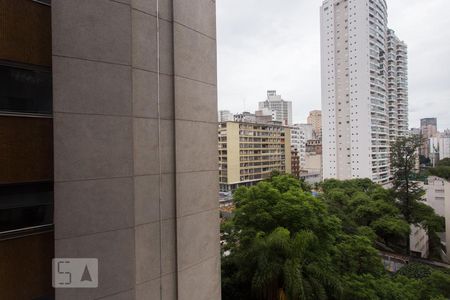 Vista de kitnet/studio para alugar com 1 quarto, 28m² em Bela Vista, São Paulo