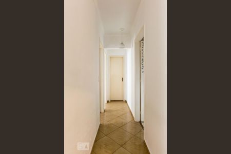 Corredor de apartamento para alugar com 3 quartos, 68m² em Jardim Pinheiros, São Paulo