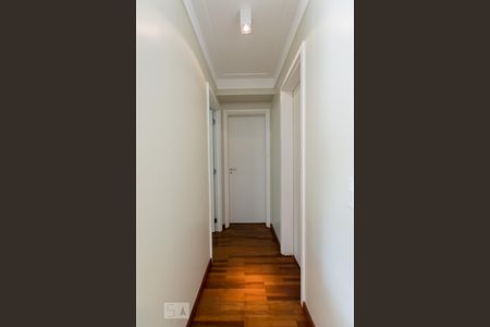 Corredor de apartamento para alugar com 2 quartos, 60m² em Jardim Leonor, São Paulo