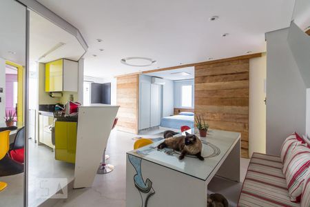 Sala e gatinhos de apartamento para alugar com 2 quartos, 70m² em Bela Vista, São Paulo