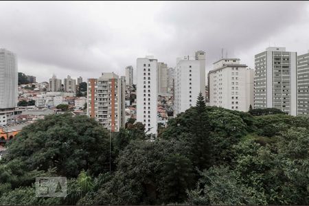 Vista Sala de apartamento à venda com 3 quartos, 80m² em Jardim Sao Bento, São Paulo