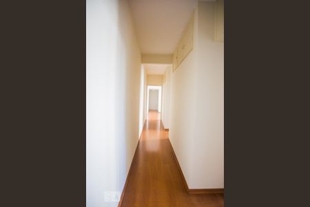 Corredor de apartamento para alugar com 3 quartos, 94m² em Vila Clementino, São Paulo