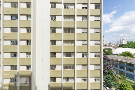 Vista da Janela da Sala de apartamento para alugar com 2 quartos, 50m² em Perdizes, São Paulo