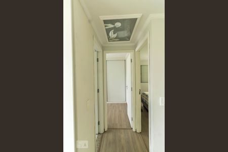 Corredor de acesso aos quartos de apartamento à venda com 2 quartos, 50m² em Vila Leonor, Guarulhos