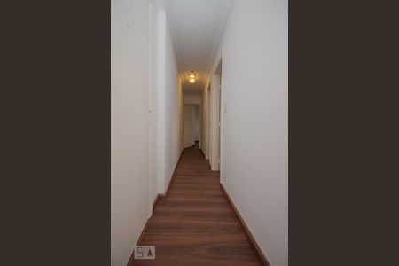Corredor de apartamento para alugar com 3 quartos, 130m² em Real Parque, São Paulo