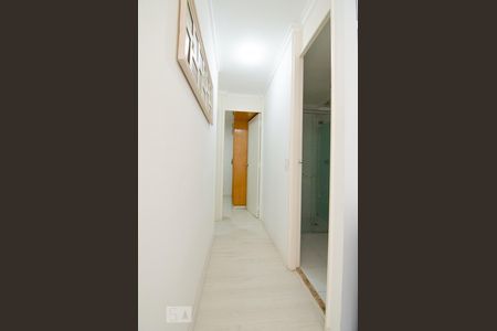 Corredor de apartamento à venda com 2 quartos, 50m² em Jardim Dom Vieira, Campinas