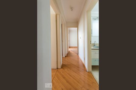 Corredor de apartamento à venda com 3 quartos, 95m² em Vila Industrial, Campinas