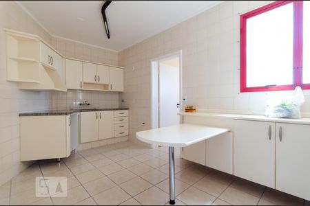 Cozinha de apartamento para alugar com 4 quartos, 171m² em Centro, Campinas