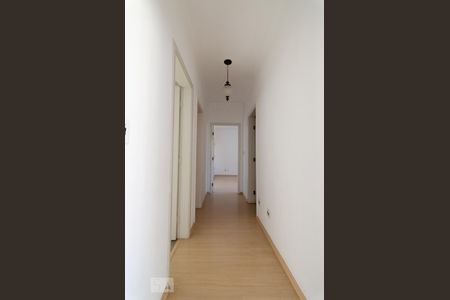 Corredor de apartamento para alugar com 2 quartos, 113m² em Vila Itapura, Campinas