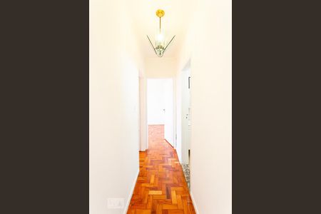 Corredor de apartamento para alugar com 2 quartos, 85m² em Sumaré, São Paulo