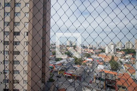 Vista de apartamento para alugar com 2 quartos, 65m² em Vila Mascote, São Paulo