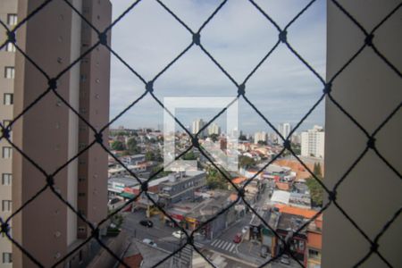 Vista de apartamento para alugar com 2 quartos, 65m² em Vila Mascote, São Paulo