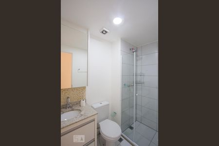 Banheiro de apartamento para alugar com 2 quartos, 54m² em Jardim das Acácias, São Paulo