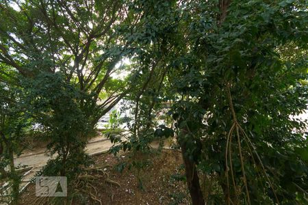 Vista da janela da sala de apartamento para alugar com 1 quarto, 30m² em Vila Moraes, São Paulo