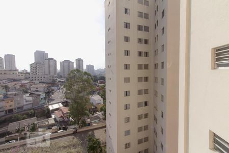 Vista de apartamento para alugar com 2 quartos, 60m² em Vila Paulista, São Paulo